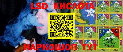 крисы Краснодар
