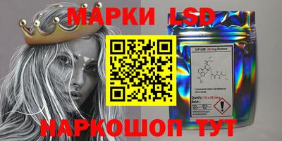 крисы Краснодар