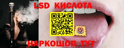 крисы Краснодар
