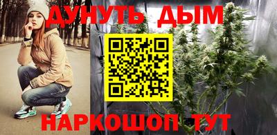 крисы Краснодар
