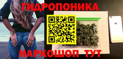 крисы Краснодар