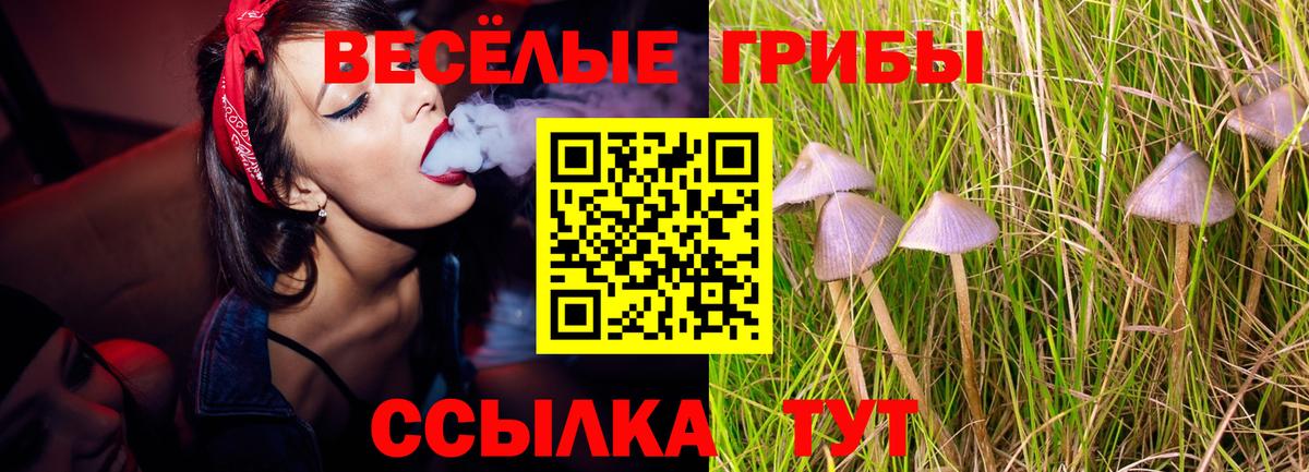 Галлюциногенные грибы ЛСД  Вход с VPN  Кореновск 